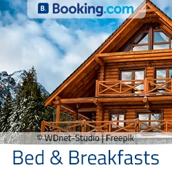Bed and Breakfast (B&B) Zillertal Arena